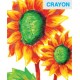 Kanvas krītiņi (6 krāsas) “Delfīns” Amos Crayons For Canvas CRX5P6CV-D