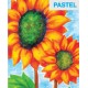Kanvas krītiņi (6 krāsas) “Delfīns” Amos Crayons For Canvas CRX5P6CV-D