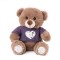 Mīksta rotaļlieta lācis Amek Teddy Bear Brown with T-Shirt 10189
