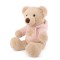 Mīksta rotaļlieta lācis Amek Teddy Bear Beige with Pink Jumper 13113