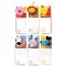 Koka suvenīrs klipsis ar magnētu un piezīmju blociņš Bino Magnetic Animals 9984191