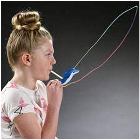Spēle Tricks Dolphin "Flippy the Magic Dolphin" 10085