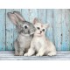 Puzle 500 gab. Clementoni Cat&Bunny Puzzle 500 pcs 35004