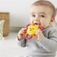 Zobgrauznis - kožamā rotaļlieta Fisher Price Babyring Take & Teethe Lion GGF04