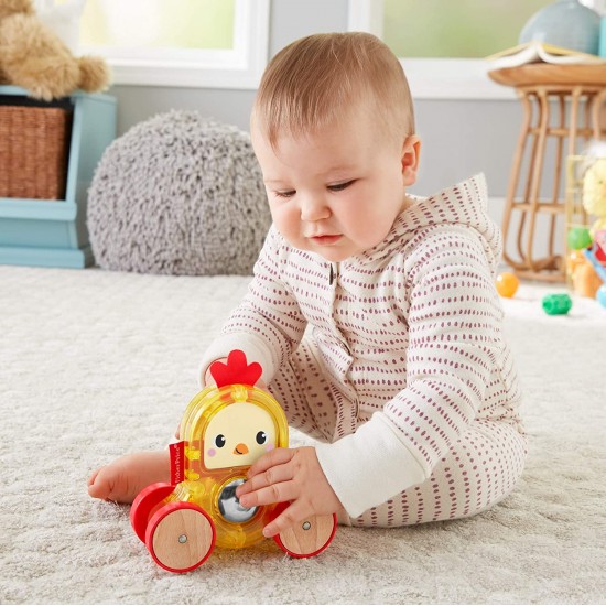 Automašīna - grabulis Fisher Price Rollin' Surprise Animals Auto GJW12