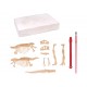 Arheologa komplekts dinozaura skelets Grafix Fossil DIG Dino Excavation Kit + skeleton to build 200019