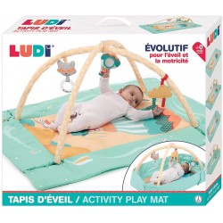Attīstošs paklājs Ludi Hot Air Balloon Activity Play Mat 20008