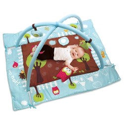Attīstošs paklājs Ludi Early - Learning Playmat Owl Blue 2873
