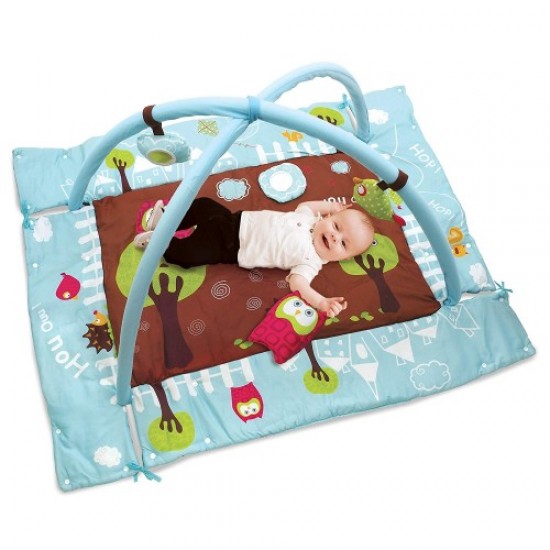 Attīstošs paklājs Ludi Early - Learning Playmat Owl Blue 2873