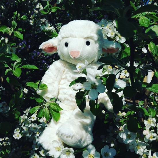 Mīksta rotaļlieta aita Molli Toys Wilhelm Lamb 7902