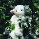 Mīksta rotaļlieta aita Molli Toys Wilhelm Lamb 7902