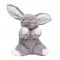 Mīksta rotaļlieta zaķis Molli Toys Rabbit Lollo grey 8031