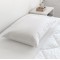 Unikulma Astro LuxuryDreams | Ergonomisks dūnu spilvens 50x60