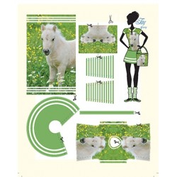 Komplekts izveido barbijas tipa lellei apģērbu Roos Dress Doll Tiny Pony RS1